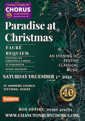 Paradise at Christmas Poster