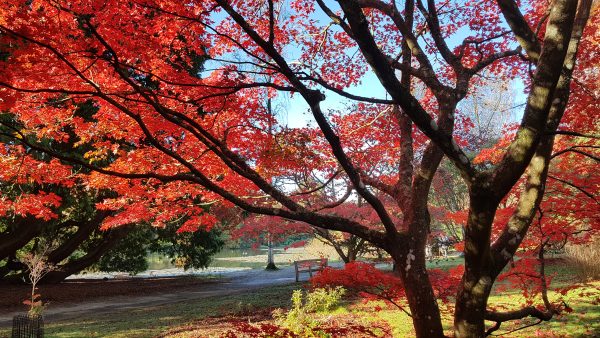 We’re open – book now!